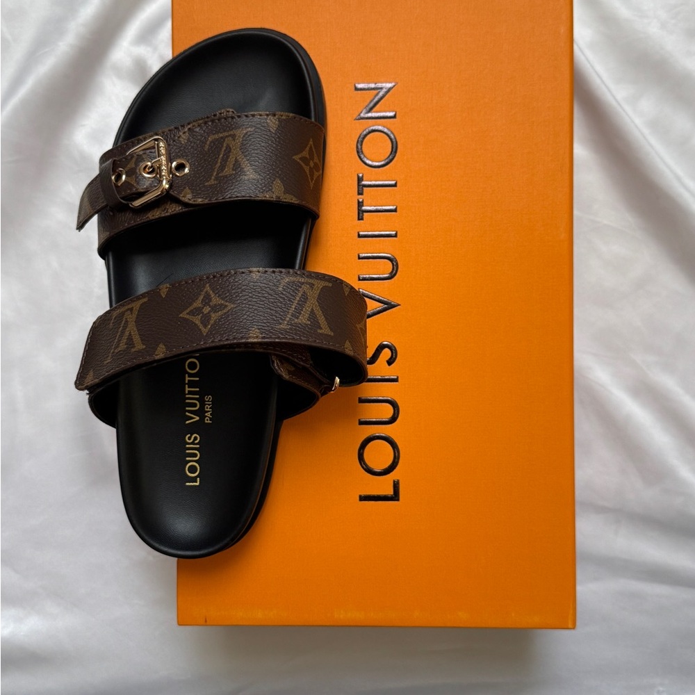Louis Vuitton Women's Brown Slides